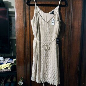 Express Cami Dress